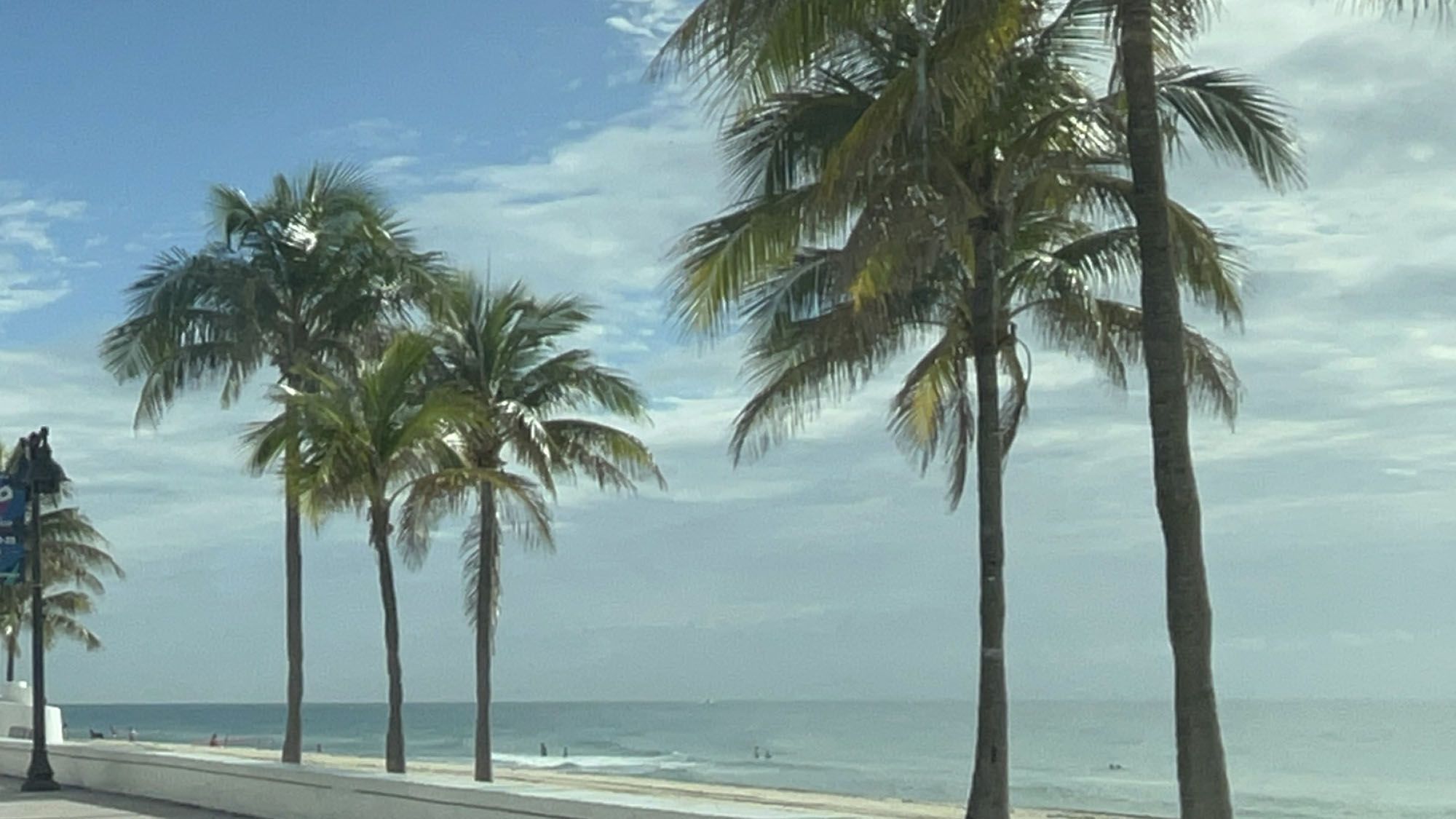 Ultimate Guide to Enjoying Daytona Beach: Sun, Fun, and Unique Experiences